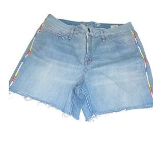 7FAM dojo selvedge denim rainbow shorts 12